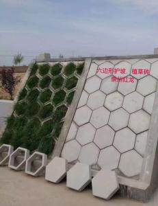 六邊形護(hù)坡植草磚